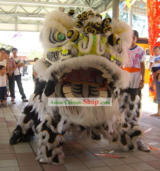 Classico cinese Lunga Lana Costumi Danza del Leone set completo