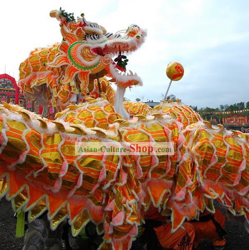 Celebración tradicional Feliz Gran Supremo largo de lana Dragon Dance equipo todo el conjunto