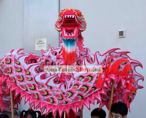 Tradizionale cinese luminoso Phoenix drago danza Costumi set completo