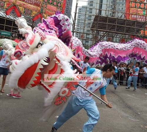 Suprema cinese tradizionale Grande classico lana di pecora Attrezzature Dragon Dance set completo (viola)