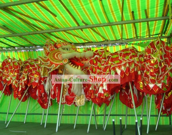 Suprême chinois traditionnel Grand Classique moutons Equipements Laine Dragon Dance Ensemble complet (en rouge)