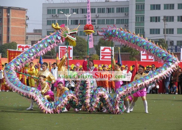Compettion et Hand Made Parade net costume de danse de dragon pour les femmes