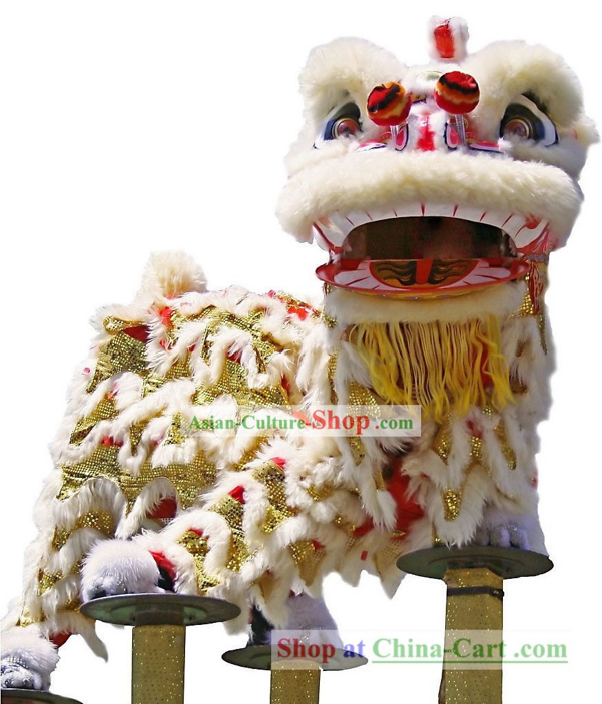 Profissional chinês Lion Mask e Costumes Conjunto Completo