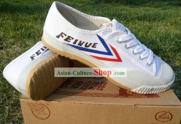 Chinese Professional Arts martiaux Tai Chi Chaussures Fei Yue Marque