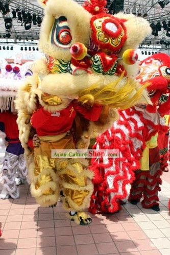 Desfile de la competencia y la danza del león Set disfraz completo