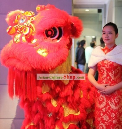 Светящиеся в DARK китайский Новый год Празднование Лев танца Костюм Комплекте