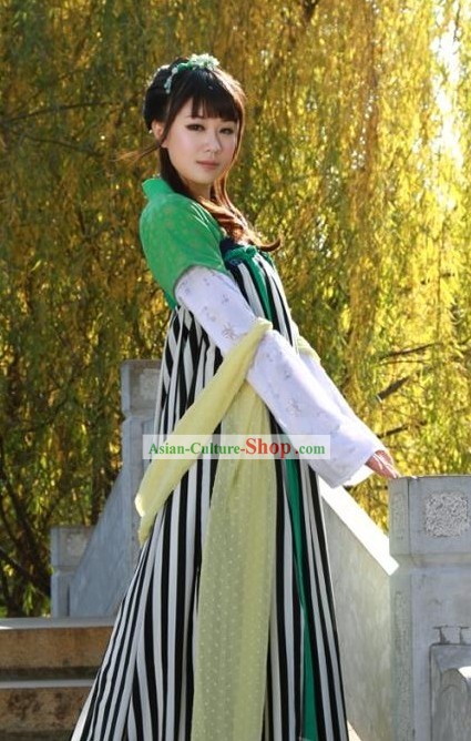 Ancient Chinese Tang Dynasty Palace Lady Costumes
