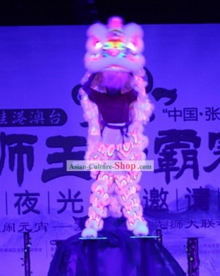 Big Festival Parade Illuminated Glow in Dark Lion Dance Costumes Complete Set