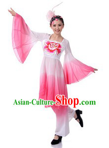 Traditional Chinese Group Classical Dance Costume and Hair Accessories for Women