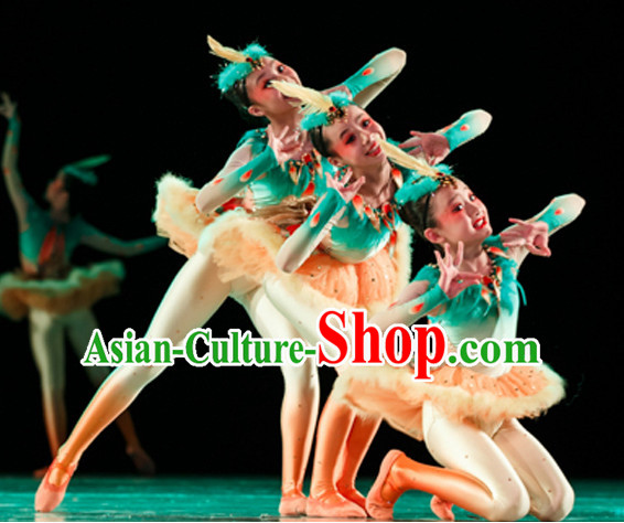 Chinese Traditional Bird Dance Costumes and Headwear Complete Set for Kids