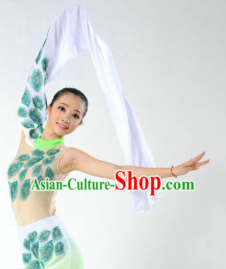 Traditional Chinese Classical Long Sleeves Dance Costumes for Girls