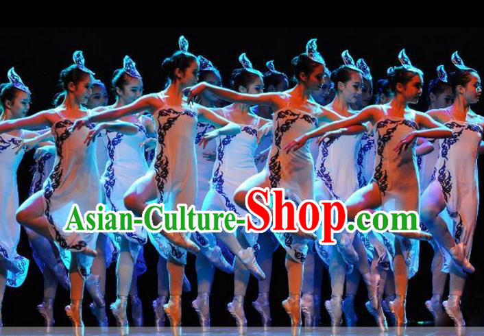 Traditional Chinese Classic Stage Performance Dance Costume, Chinese Ballet Dance Clothing for Women