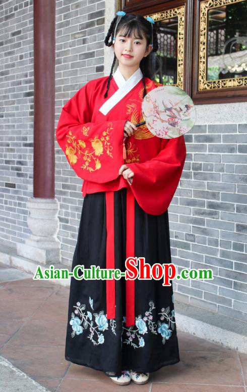 Traditional Chinese Ancient Ming Dynasty Palace Princess Hanfu Embroidered Costume for Women