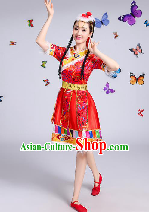 Traditional Chinese Mongol Nationality Dance Costume, Mongols Female Folk Dance Ethnic Pleated Skirt Minority Embroidery Clothing for Women
