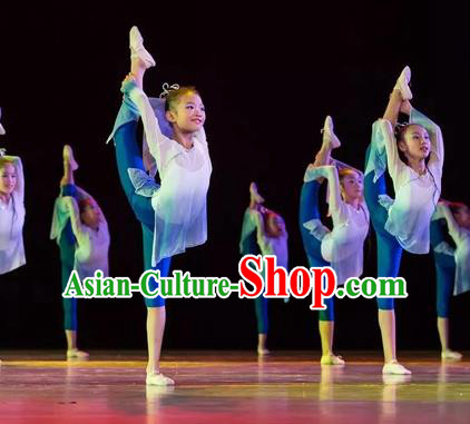 Top Grade Stage Performance Ballet Dance Costume, Professional Classical Dance Blue Dress for Kids