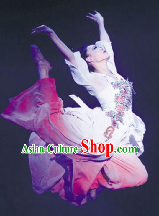 Traditional Chinese Classical Dance Costume, China Folk Dance Umbrella Dance Dress Clothing for Women