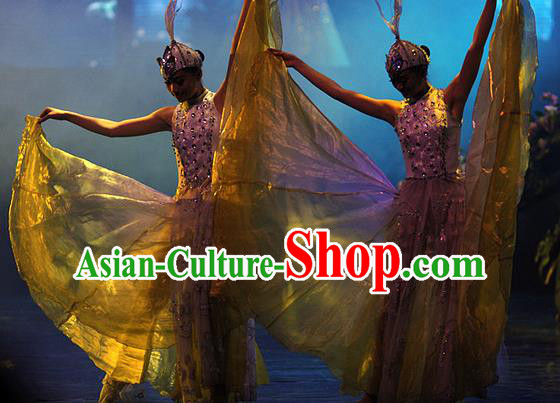 Chinese Charm Xiangxi Nationality Dance Dress Stage Performance Costume and Headpiece for Women