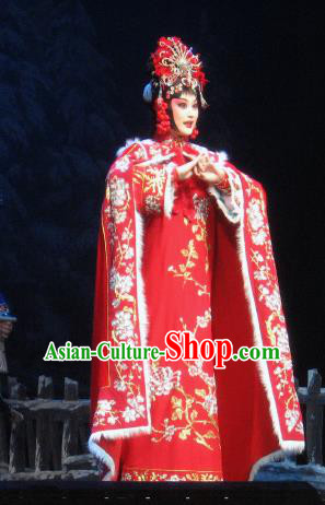 Su Wu In Desert Chinese Peking Opera Imperial Consort Red Dress Stage Performance Dance Costume and Headpiece for Women