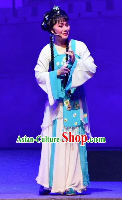 Amber Fate Chinese Beijing Opera Maidservant Dress Stage Performance Dance Costume and Headpiece for Women