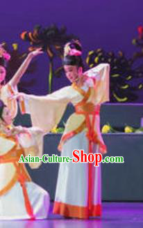 Amber Fate Chinese Beijing Opera Palace Lady Dress Stage Performance Dance Costume and Headpiece for Women