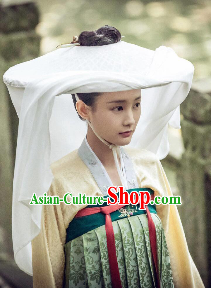 Traditional Chinese Ancient Nobility Lady Dress Drama Royal Nirvana Song Dynasty Costumes and Hat for Women
