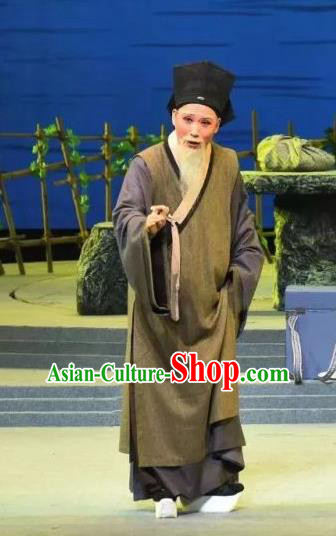 A Song of The Travelling Son Chinese Yue Opera Laosheng Elderly Male Apparels and Headwear Shaoxing Opera Old Man Garment Costumes