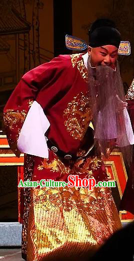 The Legend of Hairpin Chinese Kun Opera Elderly Male Apparels Costumes and Headwear Kunqu Opera Laosheng Garment Clothing