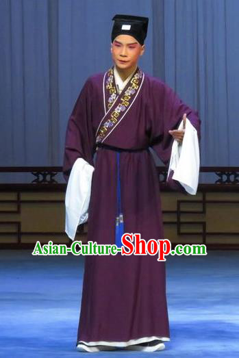 Chinese Ping Opera Niche Costumes and Headwear Pingju Opera Young Male Scholar Zhao Lianfang Apparels Clothing