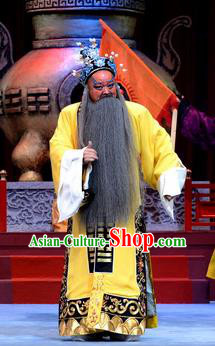 Palm Civet for Prince Chinese Ping Opera Emperor Elderly Male Costumes and Headwear Pingju Opera Old Man Zhenzong Apparels Clothing