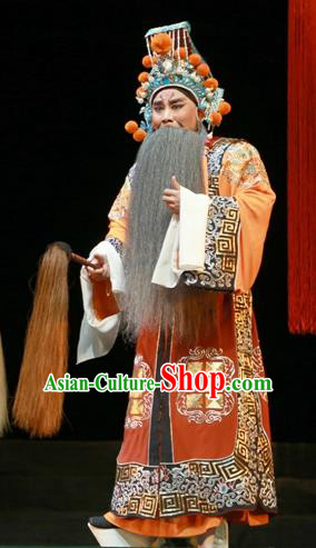 Chinese Ping Opera Laosheng Apparels Palm Civet for Prince Costumes and Headwear Pingju Opera Elderly Male Clothing