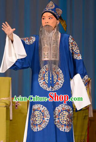 Zhu Sha Zhi Chinese Peking Opera Prefecture Han Tingfeng Garment Costumes and Headwear Beijing Opera Laosheng Apparels Elderly Male Clothing