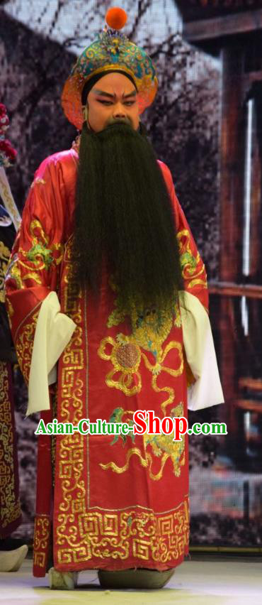 Breeze Pavilion Chinese Shanxi Opera Lord Apparels Costumes and Headpieces Traditional Jin Opera Elderly Male Garment Noble King Clothing