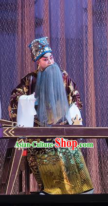The Romance of Hairpin Chinese Guangdong Opera Prime Minister Wan Si Apparels Costumes and Headpieces Traditional Cantonese Opera Laosheng Garment Elderly Male Clothing
