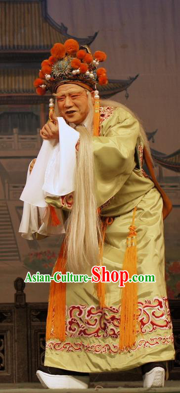 Diao Man Gong Zhu Gan Fu Ma Chinese Guangdong Opera Eunuch Apparels Costumes and Headpieces Traditional Cantonese Opera Elderly Male Garment Clown Clothing