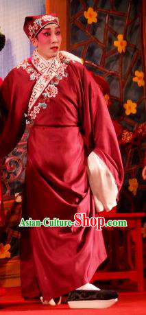 Love in the Red Plum Chinese Guangdong Opera Xiaosheng Apparels Costumes and Headwear Traditional Cantonese Opera Niche Garment Scholar Pei Yu Clothing