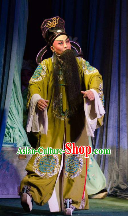 Chinese Guangdong Opera Elderly Male Apparels Costumes and Headwear Traditional Cantonese Opera Old Gentleman Garment Laosheng Clothing